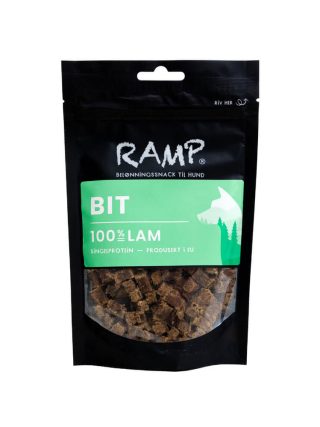 Ramp Bit Lam