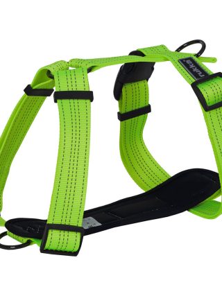 Form Neon Harness