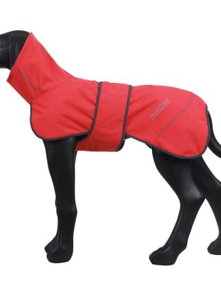 Windy Thermal Jacket