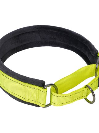 Form Soft Web Collar